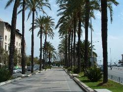Oferte sejur Palma de Mallorca