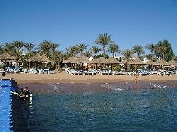 Oferte Paste Sharm El Sheikh
