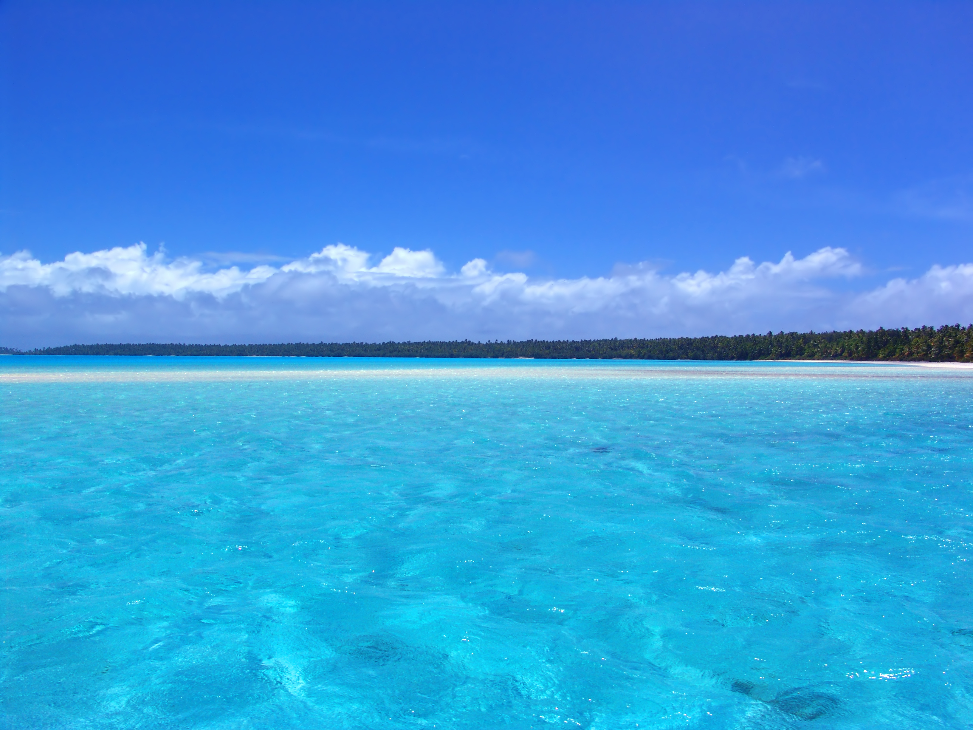 Sejur Didim  2021 - Oferta Early Booking