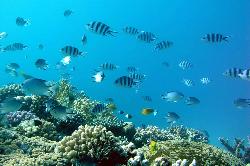 Revelion Israel - Iordania si Marea Rosie