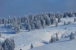 Revelion Arieseni Albac 