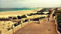 Carnavalul CAPULUI VERDE 